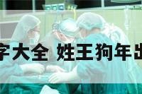 属狗姓王名字大全 姓王狗年出生男孩名字