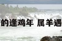 属羊的逢鸡年 属羊遇鸡年