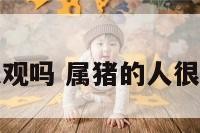 属猪的人很悲观吗 属猪的人很悲观吗为什么