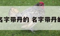 女明星名字带丹的 名字带丹的女名人