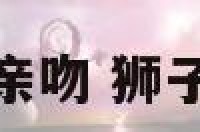 狮子座男生亲吻 狮子男亲吻上瘾