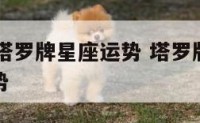2018年塔罗牌星座运势 塔罗牌测试2020年运势