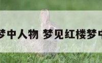 梦见红楼梦中人物 梦见红楼梦中人物死了