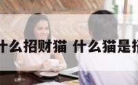 家里什么招财猫 什么猫是招财猫