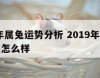 2019年属兔运势分析 2019年生肖兔的运气怎么样
