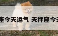 53岁天秤座今天运气 天秤座今天运气怎样