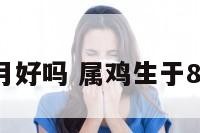 属鸡生于8月好吗 属鸡生于8月好吗命运