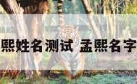 孟子熙姓名测试 孟熙名字含义