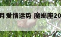 魔蝎座本月爱情运势 魔蝎座2022年感情运势