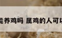 属鸡的能养鸡吗 属鸡的人可以养猪吗