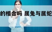 属兔与属蛇的相合吗 属兔与属蛇的相合吗婚姻