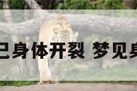 梦见自己身体开裂 梦见身上裂口