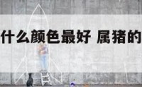 属猪的今年什么颜色最好 属猪的今年什么颜色最好吉利