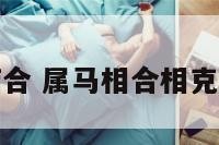 属马的相结合 属马相合相克生肖有哪些