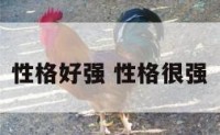 性格好强 性格很强