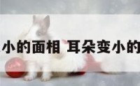 耳朵变小的面相 耳朵变小的面相男