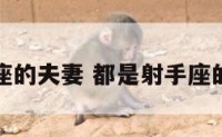 都是射手座的夫妻 都是射手座的夫妻好吗