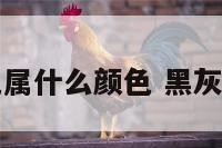 黑灰色属什么颜色 黑灰色色号