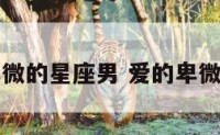 爱情里卑微的星座男 爱的卑微的星座男