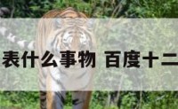 十二生肖代表什么事物 百度十二生肖什么事