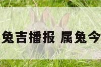 今日属兔吉播报 属兔今日吉时