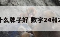 数字24什么牌子好 数字24和25哪吉利