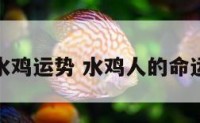 水鸡运势 水鸡人的命运