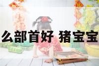 属猪宝宝带什么部首好 猪宝宝带什么生肖好
