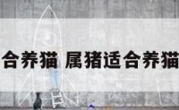 属猪适合养猫 属猪适合养猫吗女生