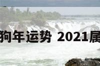 双鱼星座狗年运势 2021属狗双鱼座