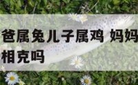 妈妈属马爸爸属兔儿子属鸡 妈妈属马爸爸属兔儿子属鸡相克吗