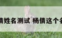 杨倩姓名测试 杨倩这个名字