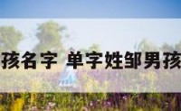单字姓邹男孩名字 单字姓邹男孩名字怎么取