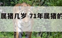 71年今年属猪几岁 71年属猪的今年虚岁多大