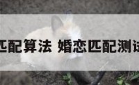 婚恋匹配算法 婚恋匹配测试软件