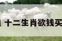 十二生肖欲钱 十二生肖欲钱买水里游的生肖