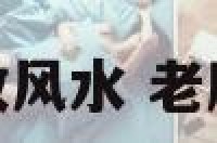 老鹰摆件的摆放风水 老鹰摆件如何摆放