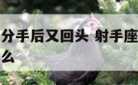 射手座男生分手后又回头 射手座男生分手后回头说明什么