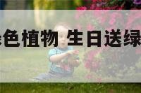 生日送什么绿色植物 生日送绿色有什么忌讳吗
