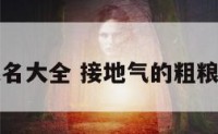 粗粮店起名大全 接地气的粗粮饭店名字