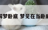 解梦卧底 梦见在当卧底