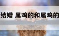属鸡和鸡的结婚 属鸡的和属鸡的结婚命运如何