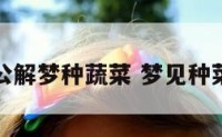 周公解梦种蔬菜 梦见种菜是