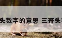 3开头数字的意思 三开头数字