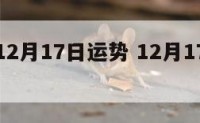 射手座12月17日运势 12月17日的射手座