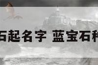 给蓝宝石起名字 蓝宝石种类名字