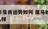 属马19年生肖运势如何 属马的2019年运势怎么样