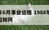 1988年6月事业运程 1988年6月生人,命运如何