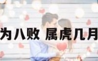 属虎几月为八败 属虎几月是八败命