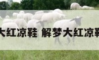 解梦大红凉鞋 解梦大红凉鞋破了
